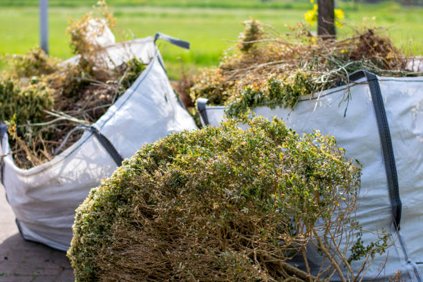 Best Hoarding Cleanup  in Piedmont, SD
